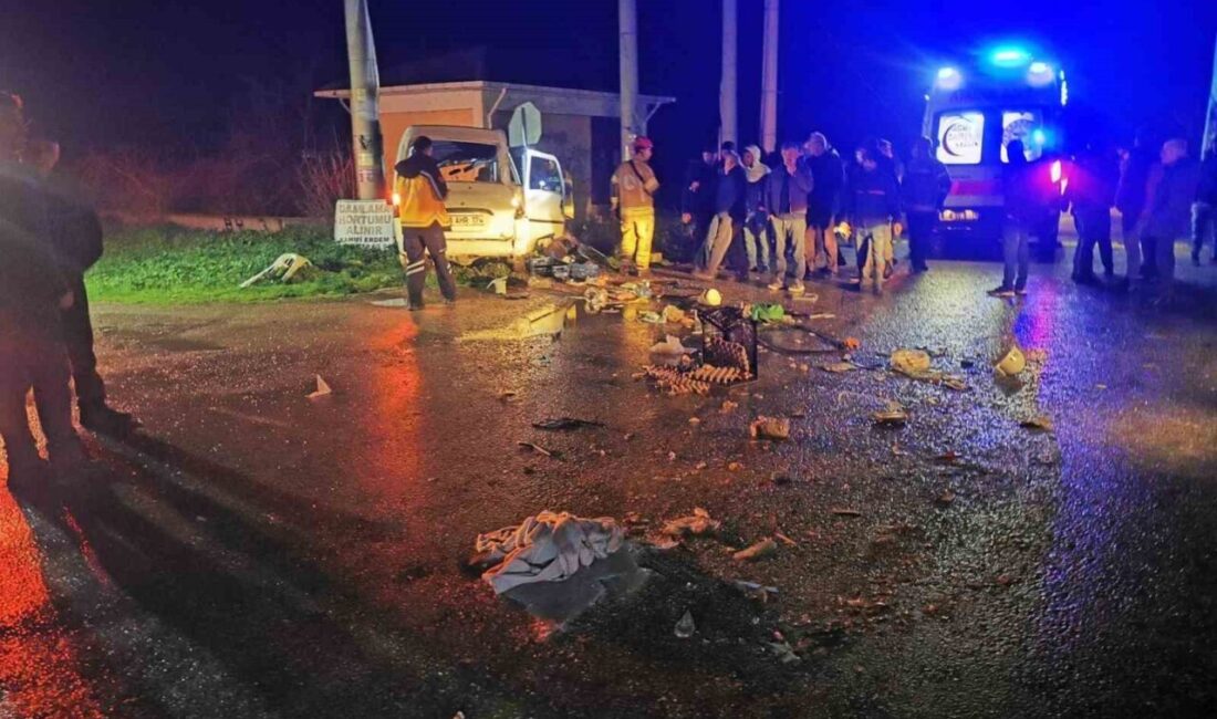 Bursa’nın Karacabey ilçesinde kamyonet ile otomobilin çarpıştığı kazada 2 kişi