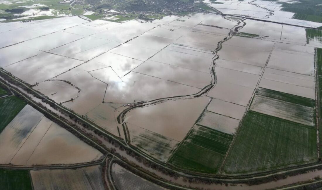 Aydın’da yoğun yağışlar nedeniyle Büyük Menderes Nehri’nde su seviyesi en
