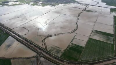 Aydın’da yoğun yağışlar nedeniyle Büyük Menderes Nehri’nde su seviyesi en