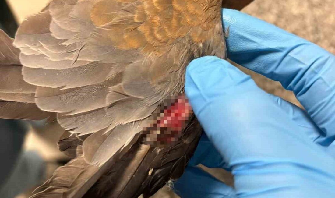 Sağanak yağışlara karşı sahada olan İzmir Büyükşehir Belediyesi ekipleri, tüm