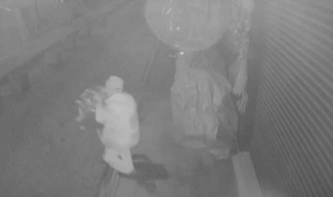 Elazığ’da kimliği belirsiz bir şahıs, çaldığı brandayı siyah çöp poşetine