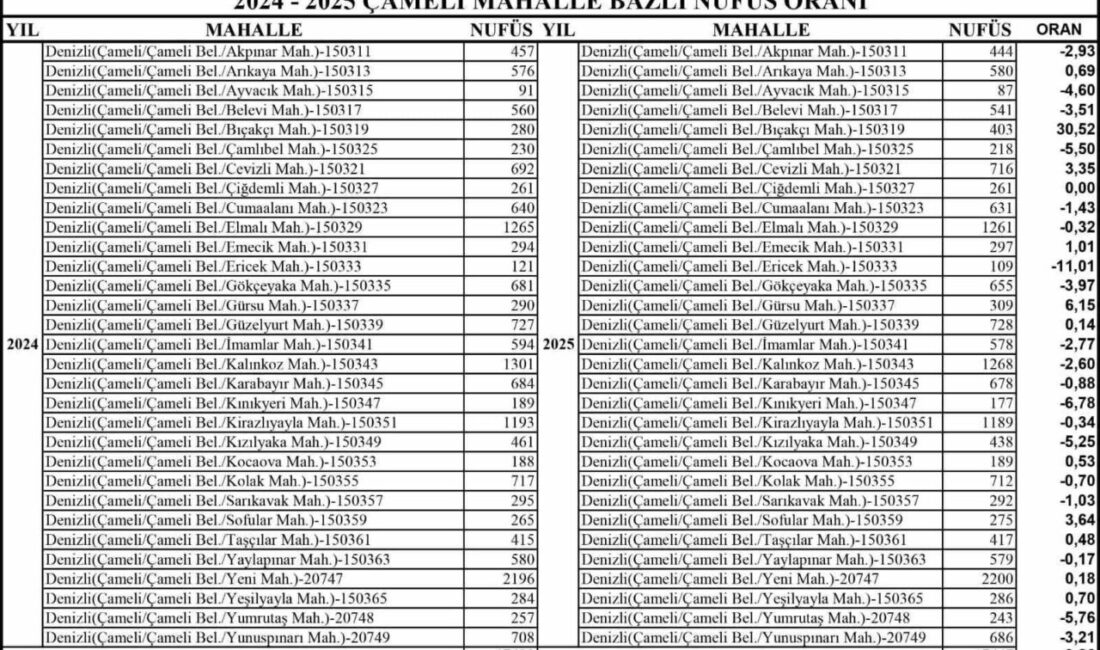 TÜİK verilerine göre Denizli’nin Çameli ilçesinin nüfusu 2024 yılında 17