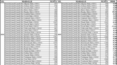 TÜİK verilerine göre Denizli’nin Çameli ilçesinin nüfusu 2024 yılında 17