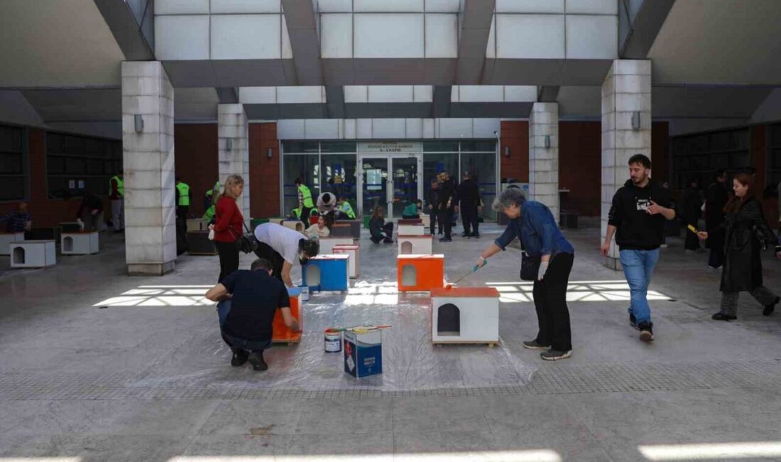 Bursa Büyükşehir Belediyesi, 17 Şubat Dünya Kediler Günü kapsamında düzenlediği