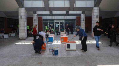 Bursa Büyükşehir Belediyesi, 17 Şubat Dünya Kediler Günü kapsamında düzenlediği