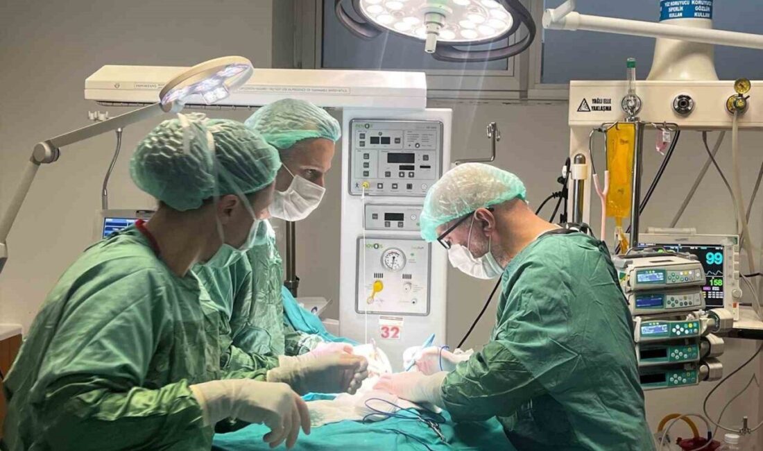 Çanakkale Mehmet Akif Ersoy Devlet Hastanesinde bakımı süren prematüre bebeğin