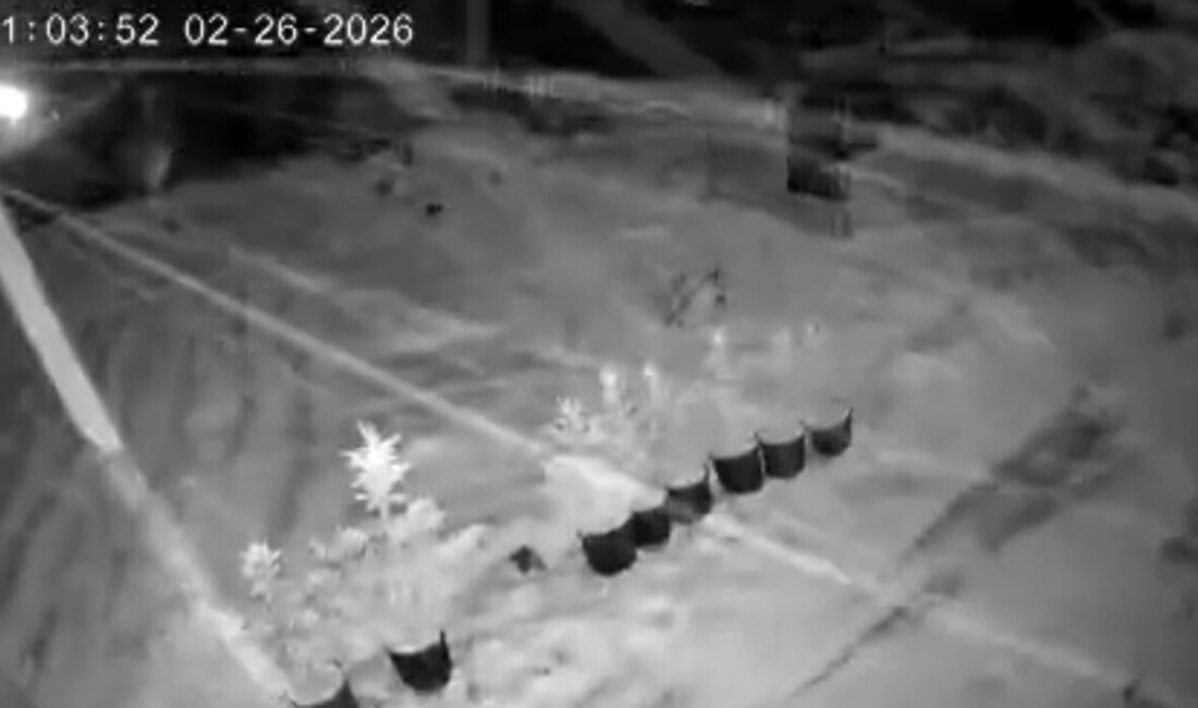 Çankırı’nın Ilgaz ilçesinde hava sıcaklığının sıfır derecenin altına düşmesiyle kar