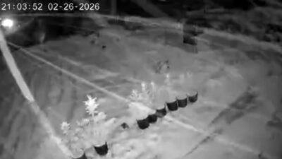 Çankırı’nın Ilgaz ilçesinde hava sıcaklığının sıfır derecenin altına düşmesiyle kar