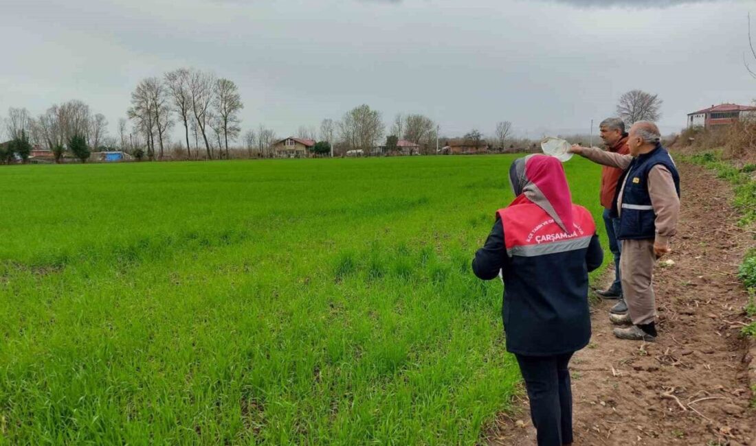 Samsun’un Çarşamba ilçesinde, tarımsal üretimi etkileyebilecek iklimsel, ekonomik ve çevresel