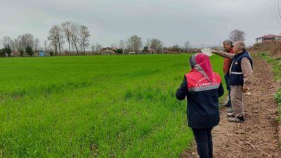 Samsun’un Çarşamba ilçesinde, tarımsal üretimi etkileyebilecek iklimsel, ekonomik ve çevresel