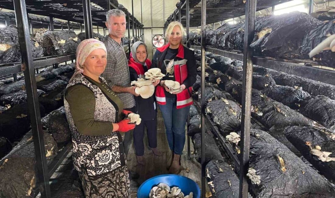 Samsun’un Çarşamba ilçesinde, “2026 Yılı Ailenin Korunması ve Güçlendirilmesi Faaliyetleri”