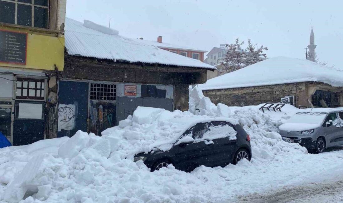 Bingöl’de çatından çözünen kar kütlesinin düşmesi sonucu park halindeki bir