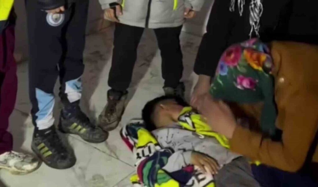 Batman’ın Beşiri ilçesine bağlı Yenipınar köyünde yaşayan vatandaşlar, 2 nüfuslu