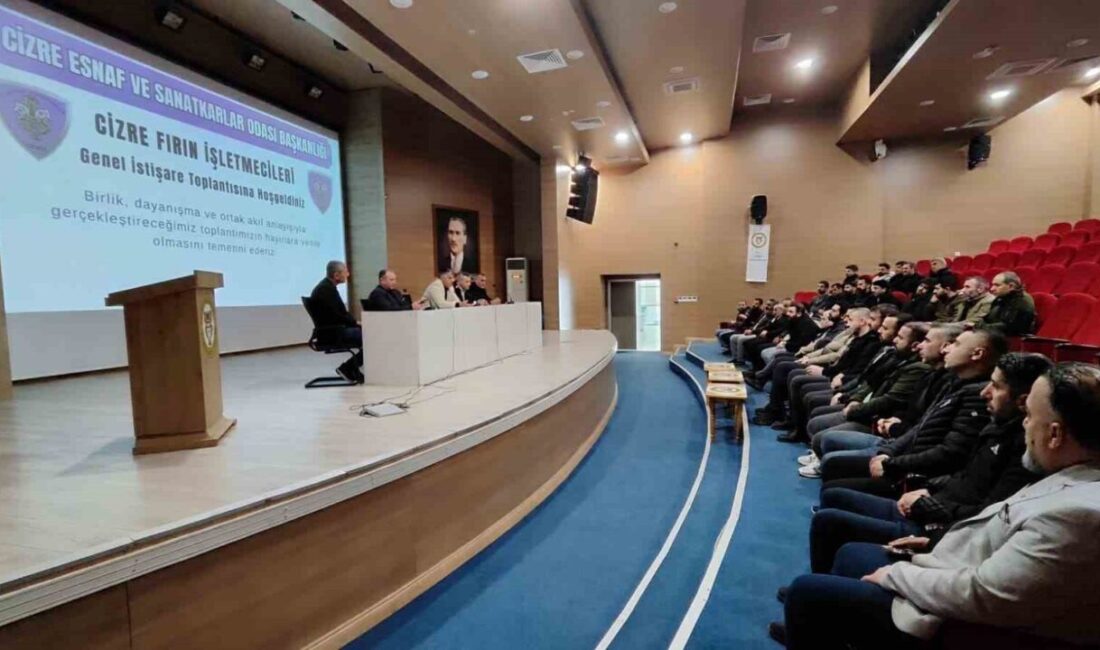 ŞIRNAK (İHA) – Şırnak’ın Cizre Esnaf ve Sanatkarlar Odası Başkanlığı