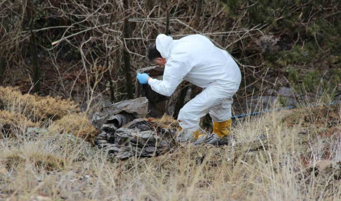 Çorum’da 6 gündür kayıp olarak aranan yaşlı adamın cansız bedeni,