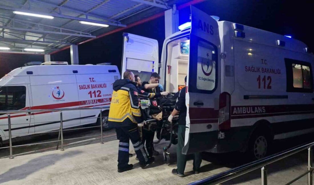 Çorum’un Alaca ilçesinde sobadan sızan karbonmonoksit gazından zehirlenen yaşlı çift,