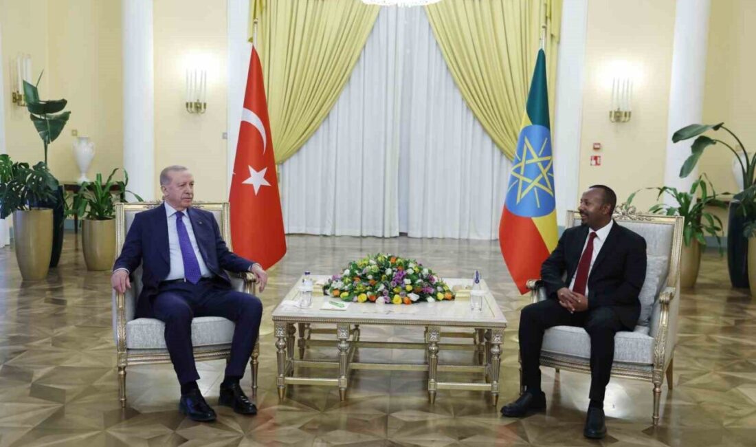 Cumhurbaşkanı Recep Tayyip Erdoğan, resmi ziyaret kapsamında bulunduğu Etiyopya’nın başkenti