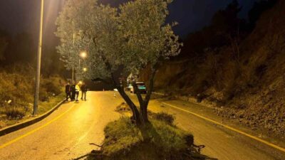 Aydın’ın söke ilçesinde sağanak yağış sonrası köküyle birlikte sel sularının