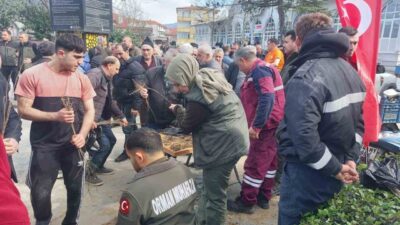 Sakarya’nın Akyazı ilçesinde Orman İşletme Müdürlüğü ekipleri, çevre bilincini aşılamak