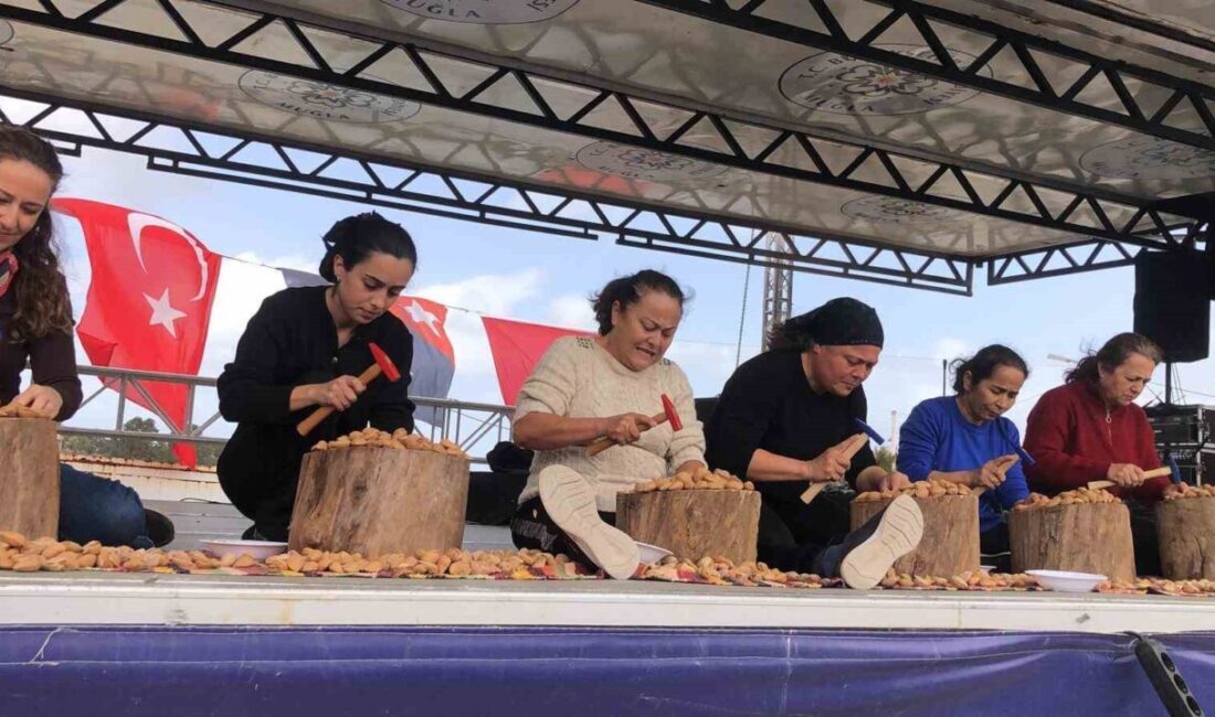 Muğla’nın Datça ilçesinde düzenlenen 7. Badem Çiçeği Festivali, konserlerden yarışmalara