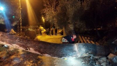 Hatay’da şiddetli fırtınayla devrilen ve yolu kapatan ağaç itfaiye ekipleri