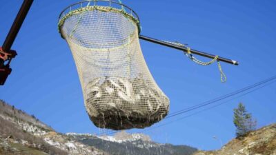Gümüşhane’de alabalık yetiştiriciliği üretimi bu yıl yaklaşık 2 bin tona
