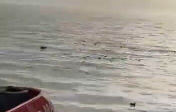 Kocaeli’nin Körfez ilçesinde bulunan DP World Evyap limanı adeta şehir