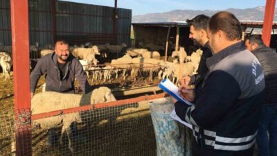 Denizli İl Tarım ve Orman Müdürlüğünce, şehrin ekonomisine ve hayvan