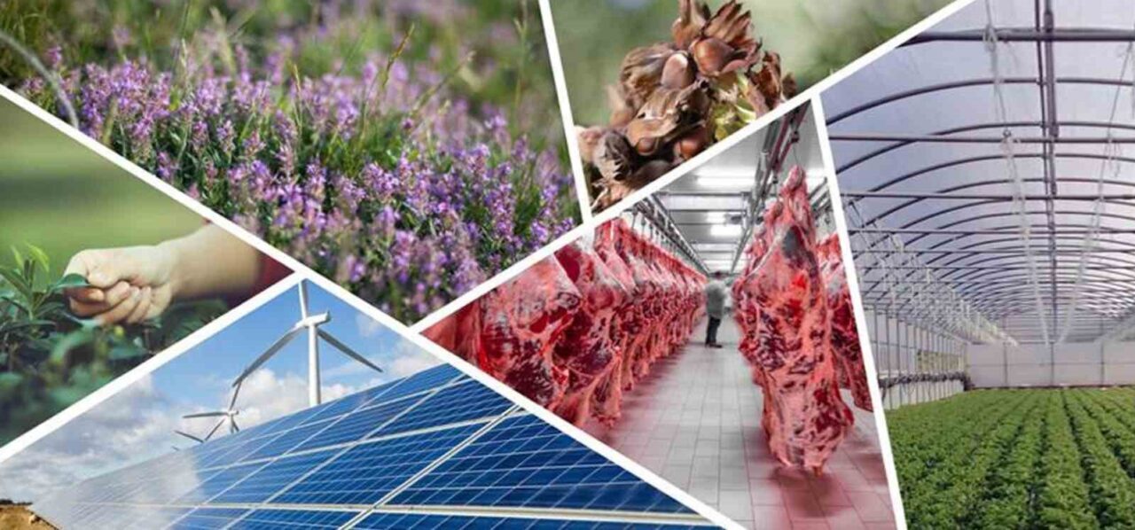 Denizli İl Tarım ve Orman Müdürlüğü, 2025 yılında kırsal kalkınmayı