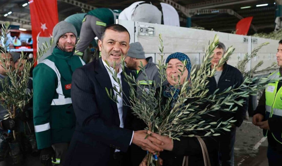 Denizli Büyükşehir Belediyesi’nin “Sertifikalı Zeytin Fidanı Desteği” projesi kapsamında 19