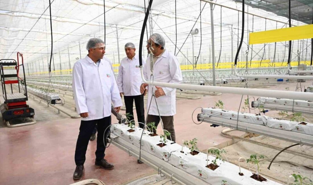 Denizli İl Tarım ve Orman Müdürlüğü, 2025 yılı boyunca bitki