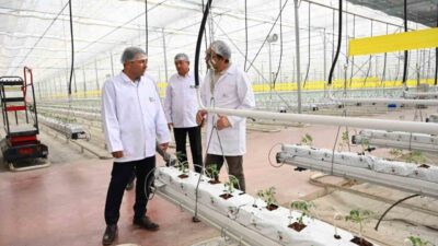 Denizli İl Tarım ve Orman Müdürlüğü, 2025 yılı boyunca bitki