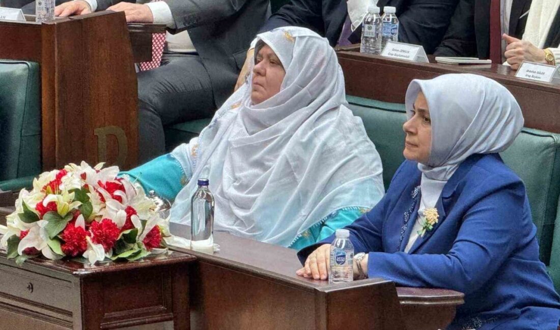 AK Parti Malatya Milletvekili İnanç Siraç Kara Ölmeztoprak, TBMM’de gerçekleştirilen