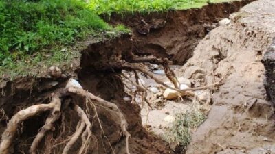 Aydın’ın Efeler ilçesi İlyasdere Mahallesi’nde yoğun yağışlarla birlikte taşan ve