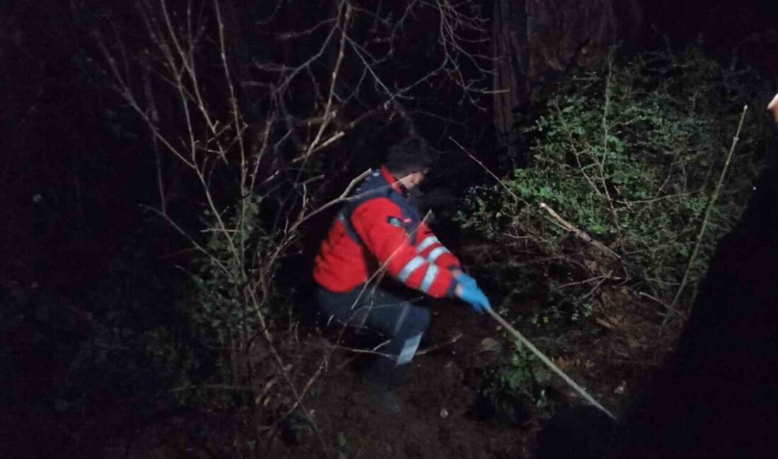 Hatay’da yaylada 200 metreden uçuruma yuvarlanan kepçenin operatörü yaralandı. Yaralı
