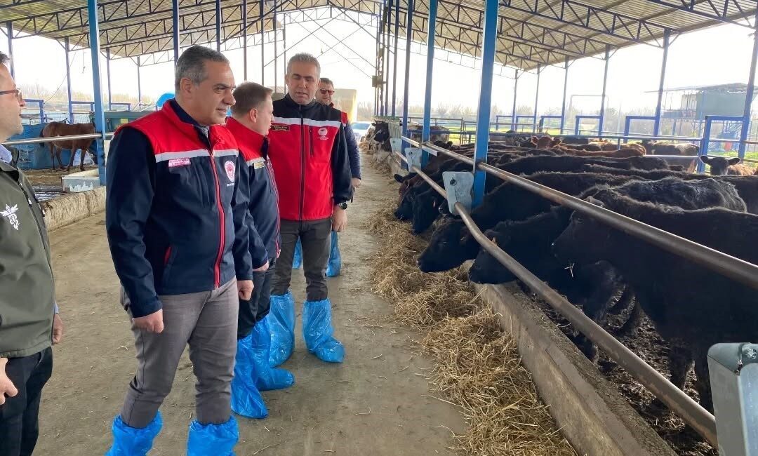 Kırsalda Bereket Hayvancılığa Destek Projesi kapsamında Aydın’da 30 baş Angus