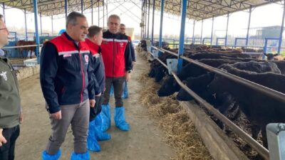 Kırsalda Bereket Hayvancılığa Destek Projesi kapsamında Aydın’da 30 baş Angus