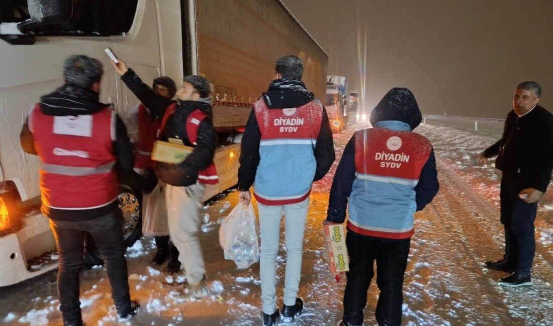 Ağrı Diyadin Kaymakamlığı koordinesinde yürütülen çalışmalarda, yoğun kar yağışı nedeniyle