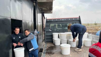 Diyarbakır’da gerekli hijyen ve saklama şartlarını taşımayan 5 işletmede ele