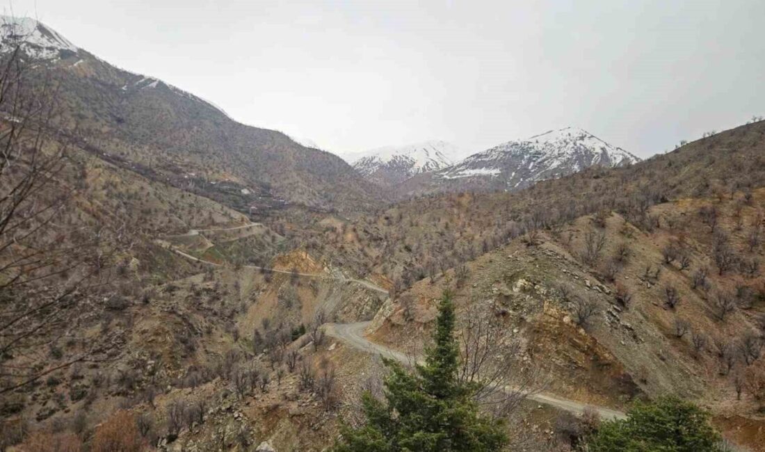 Diyarbakır’ın Kulp ilçesinde 11 gün önce kaybolan 84 yaşındaki adamın