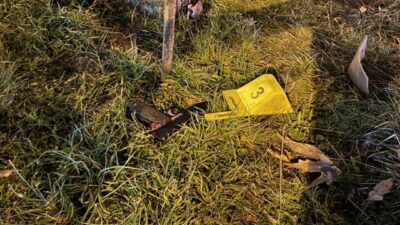 Diyarbakır’ın merkez Kayapınar ilçesinde düzenlenen silahlı saldırıda 1 kişi ağır