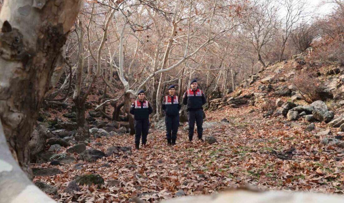 Diyarbakır İl Jandarma Komutanlığı Çevre ve Doğal Hayatı Koruma Kısmı