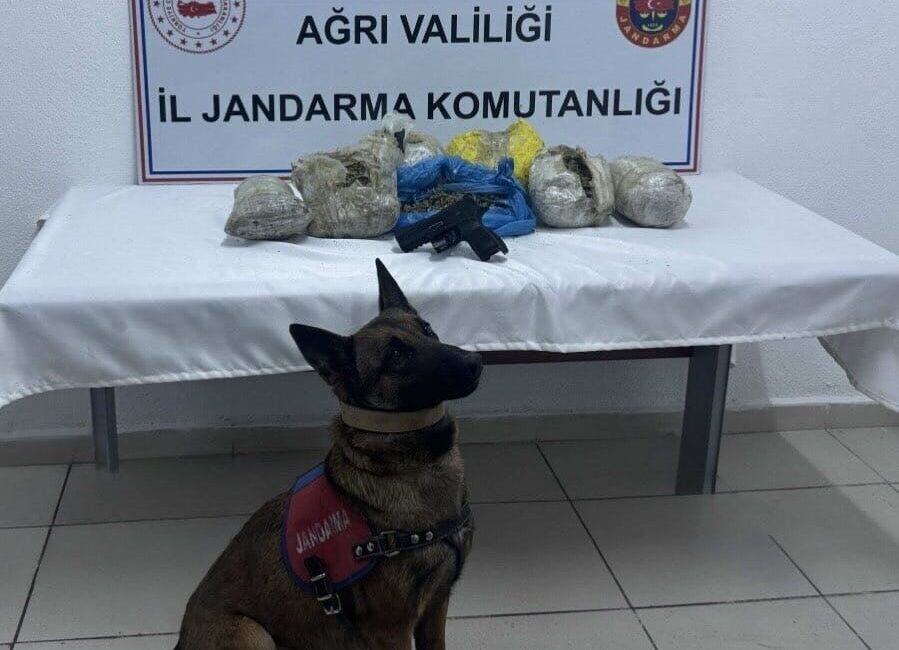 Ağrı İl Jandarma Komutanlığı ekiplerince Doğubayazıt ilçesinde düzenlenen operasyonda 4