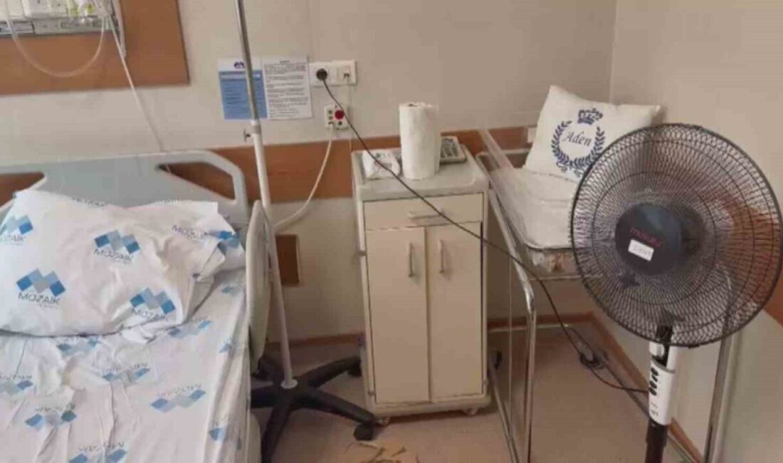 Hatay’da hizmet veren Özel Mozaik Hastanesi’nde evladının doğumu için 46