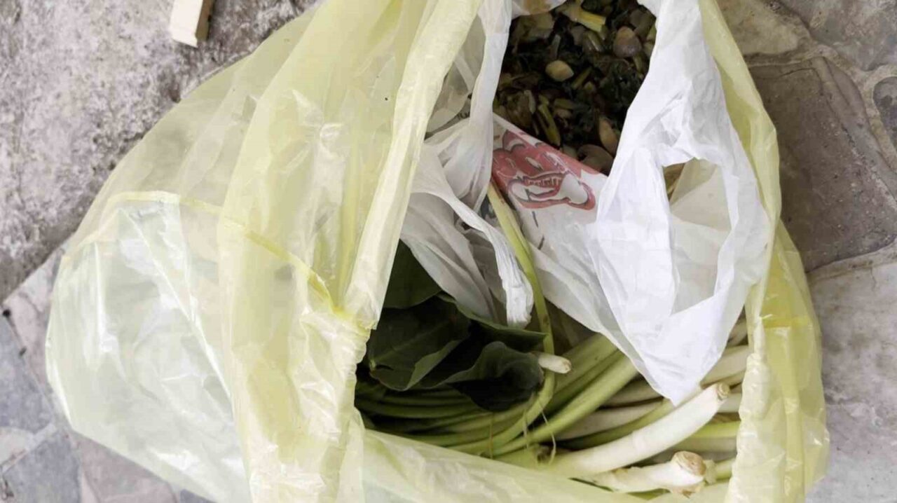 Mersin’de pazardan iddiaya göre pazı diye aldığı ürün zehirli tirşik