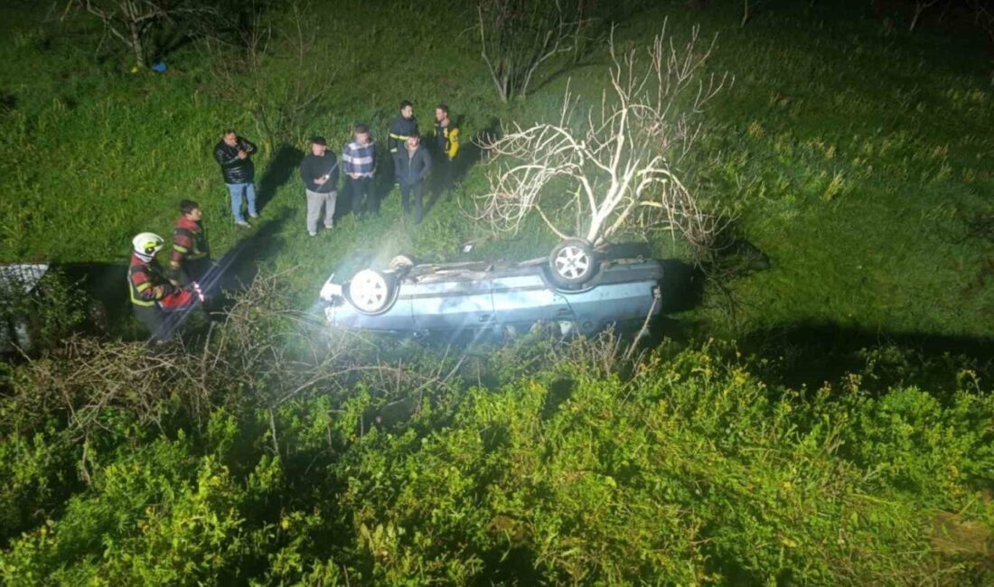 Aydın’ın Nazilli ilçesinde domuza çarpan otomobil yoldan çıkarak uçuruma yuvarlandı,