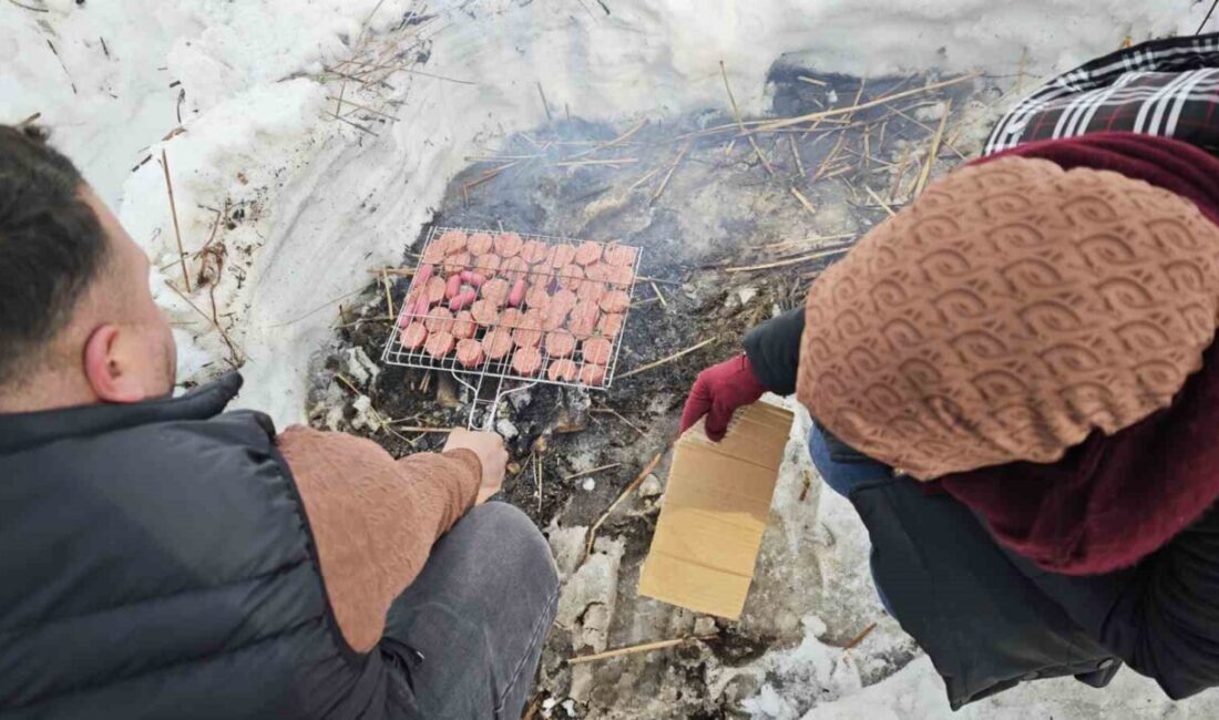 Bitlis’in Ahlat ilçesinde yaklaşık 40 kilometrekarelik alan üzerindeki Nazik Gölü,