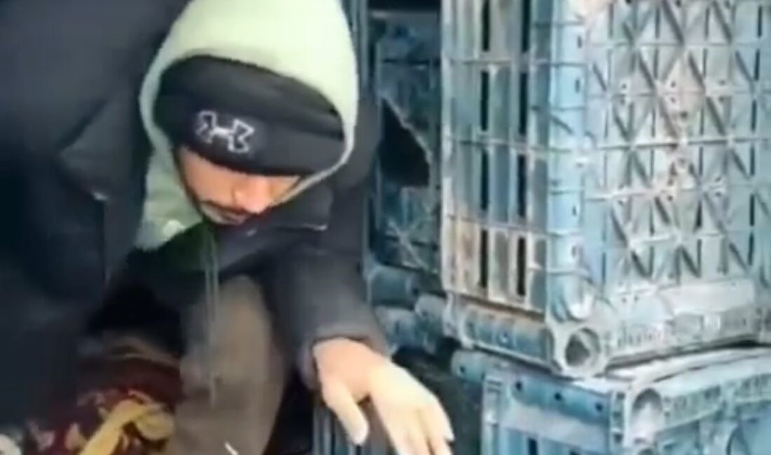 Düzce Polis ve Jandarma ekiplerinin göçmen kaçakçılığıyla mücadelesi sürüyor. Yasa