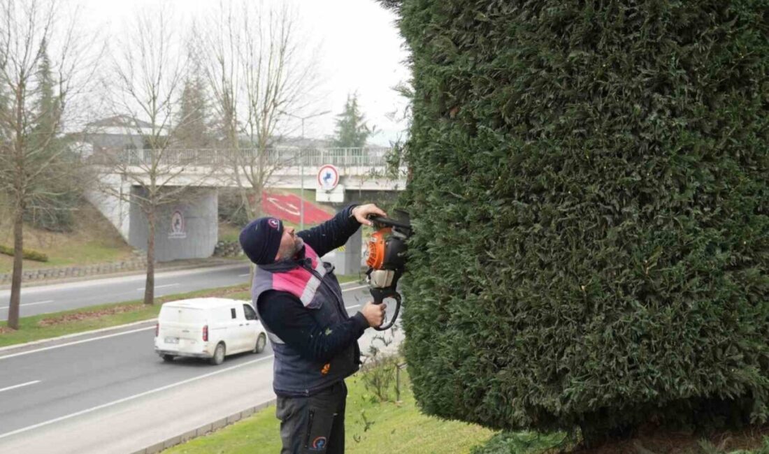 DÜZCE (İHA) – Düzce Belediyesi Park ve Bahçeler Müdürlüğü ekipleri