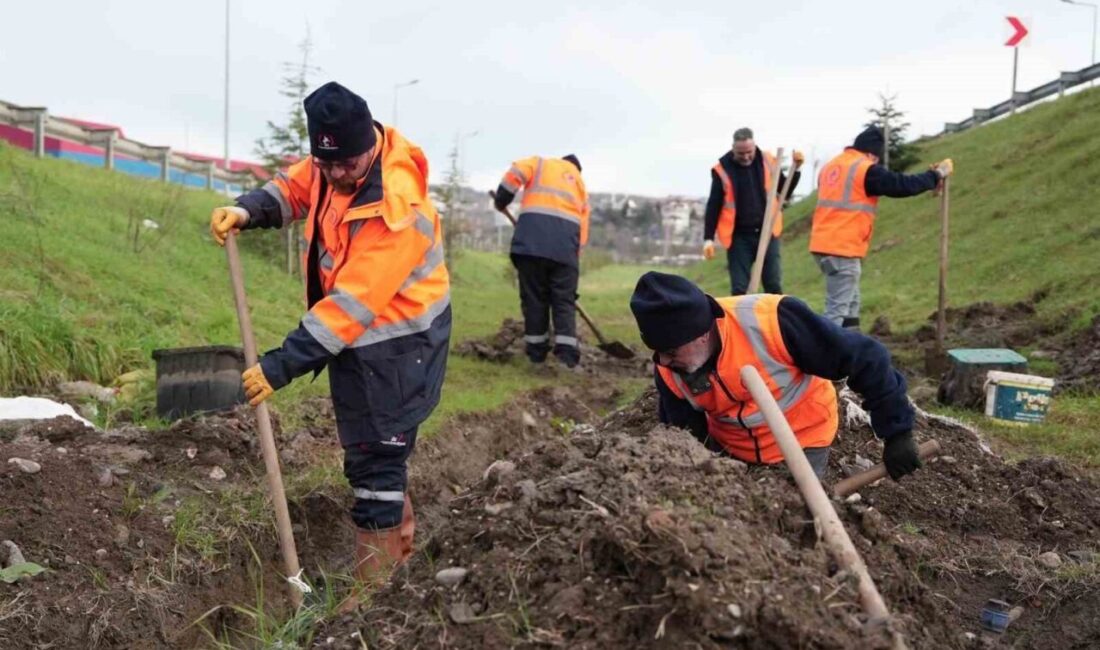 DÜZCE (İHA) – Düzce Belediyesi Park ve Bahçeler Müdürlüğü ekipleri